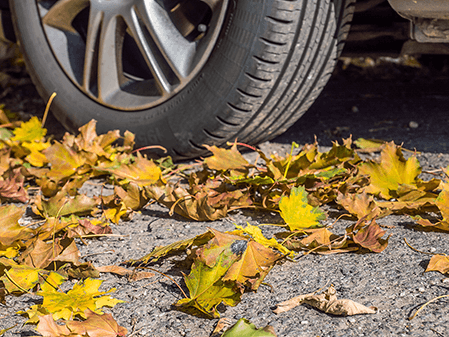 Aktuelles-Herbst-Autoreifen-auf-Laub